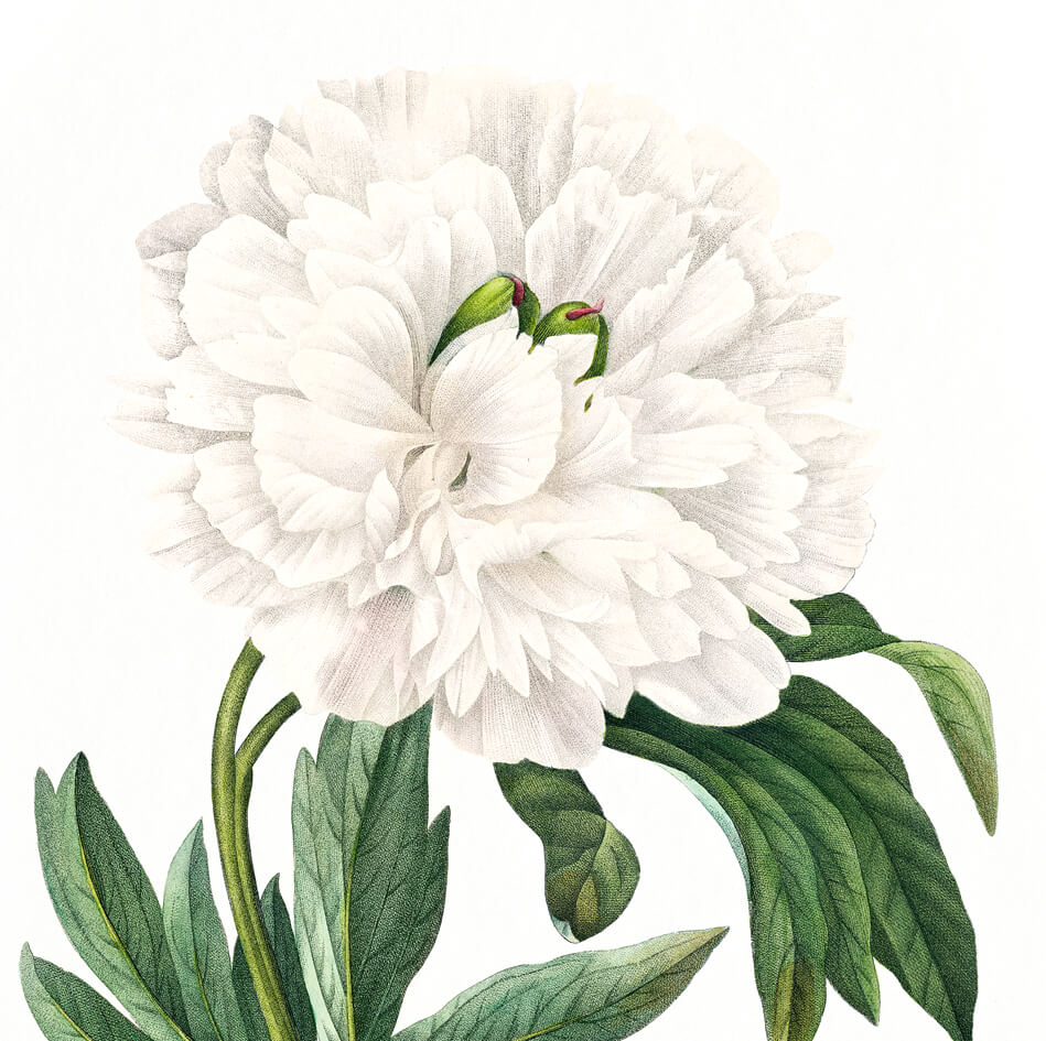 image of bird in hero section